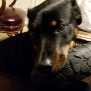 Meet your Posher, Nadia